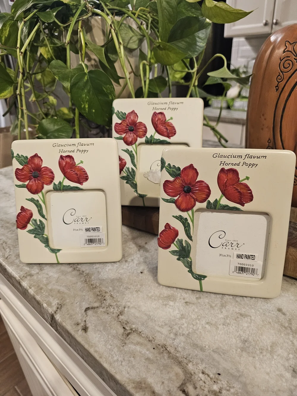 Red Poppy Hand-Painted Ceramic Photo Frame - Cream With Glass On It  Set Of 3